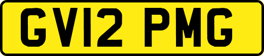 GV12PMG