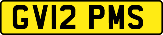 GV12PMS