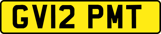 GV12PMT