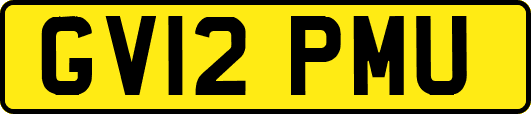 GV12PMU