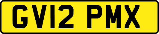 GV12PMX
