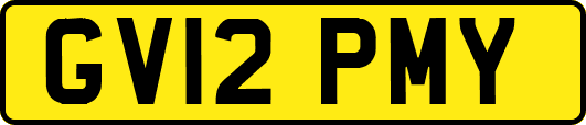GV12PMY