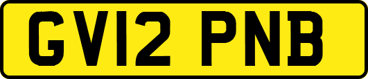 GV12PNB