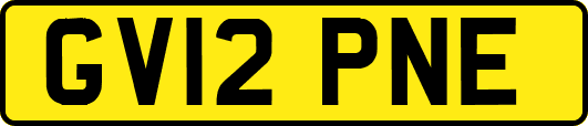GV12PNE