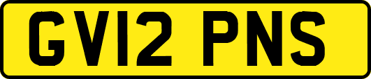 GV12PNS