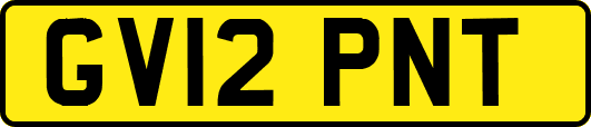 GV12PNT