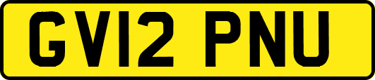 GV12PNU