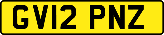 GV12PNZ