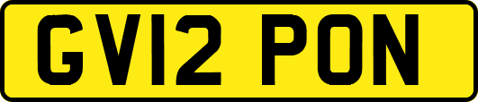 GV12PON