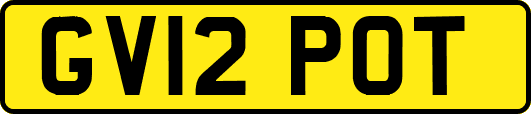 GV12POT