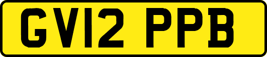 GV12PPB