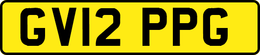 GV12PPG