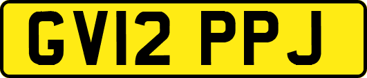 GV12PPJ