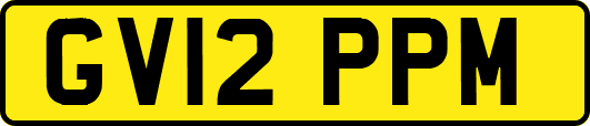 GV12PPM