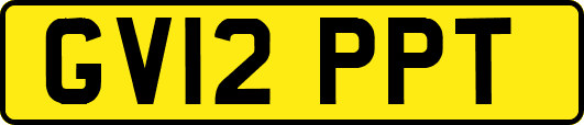 GV12PPT