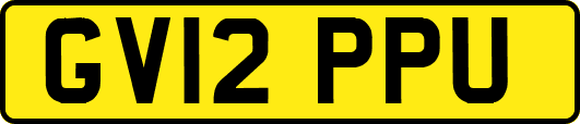 GV12PPU