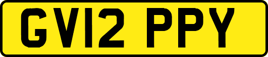 GV12PPY