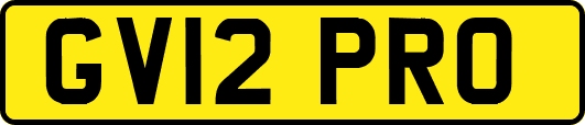 GV12PRO
