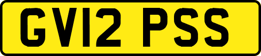 GV12PSS