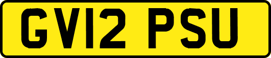GV12PSU