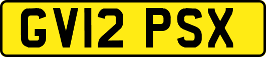 GV12PSX