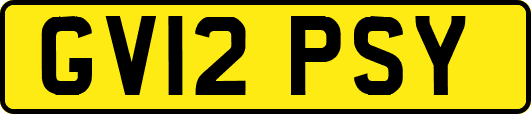 GV12PSY