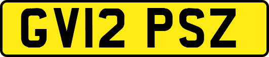 GV12PSZ