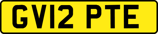 GV12PTE