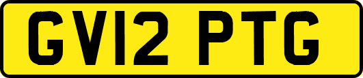 GV12PTG