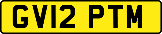 GV12PTM