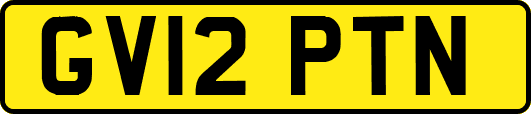 GV12PTN