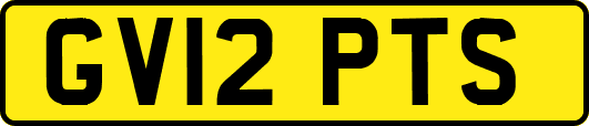 GV12PTS