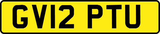 GV12PTU