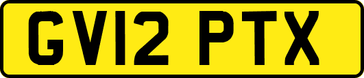 GV12PTX