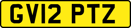 GV12PTZ