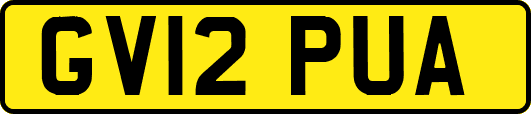 GV12PUA