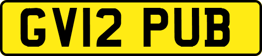 GV12PUB