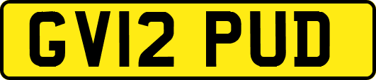 GV12PUD