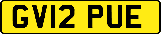 GV12PUE