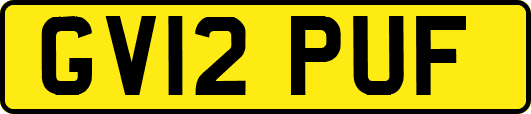 GV12PUF