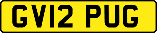 GV12PUG