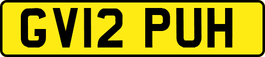 GV12PUH