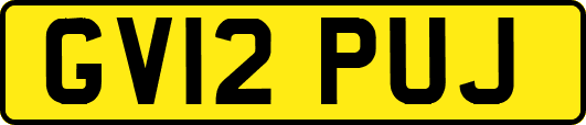 GV12PUJ