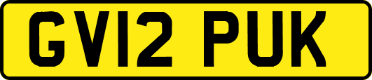 GV12PUK