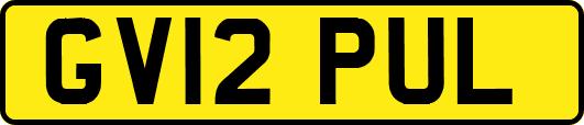 GV12PUL