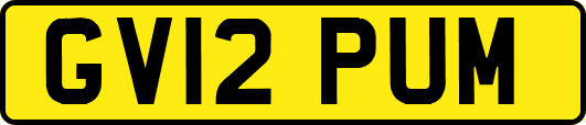 GV12PUM