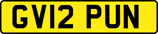 GV12PUN
