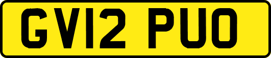 GV12PUO