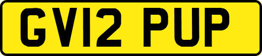 GV12PUP