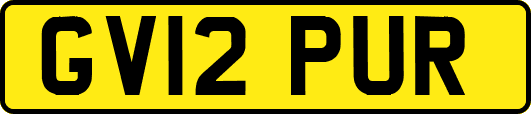 GV12PUR